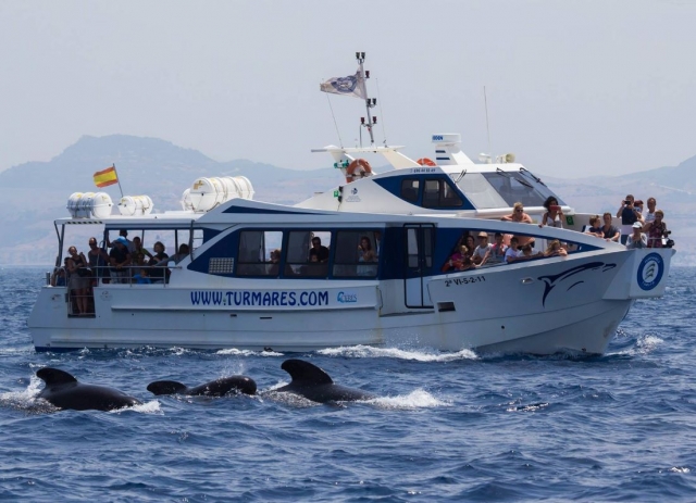  Barca per l'osservazione delle balene a Tarifa 